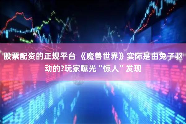 股票配资的正规平台 《魔兽世界》实际是由兔子驱动的?玩家曝光“惊人”发现
