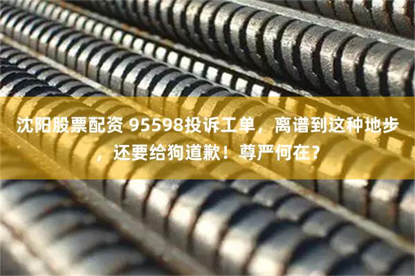 沈阳股票配资 95598投诉工单，离谱到这种地步，还要给狗道歉！尊严何在？