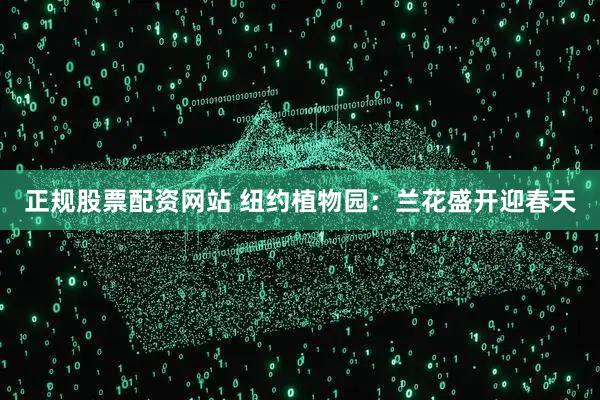 正规股票配资网站 纽约植物园：兰花盛开迎春天