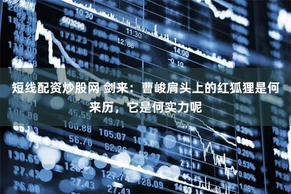 短线配资炒股网 剑来：曹峻肩头上的红狐狸是何来历，它是何实力呢